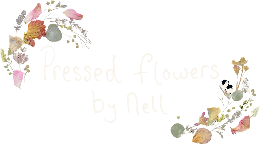 Pressed Flowers by Nell