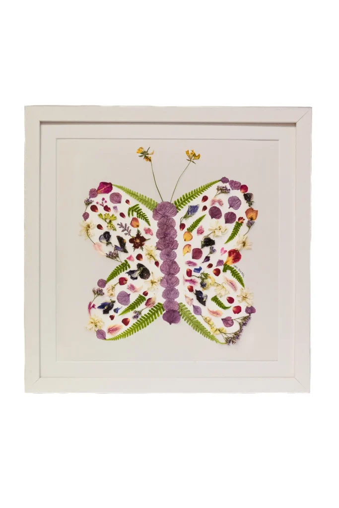 Butterfly Framed