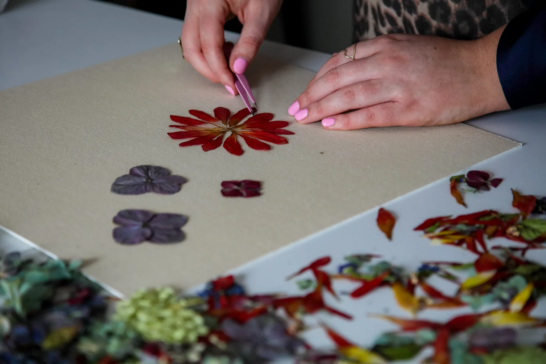Pressed flowers by Nell