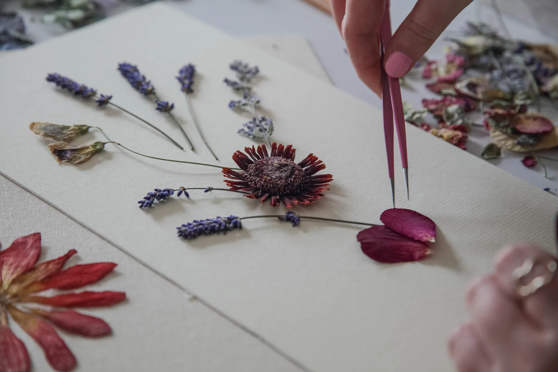 Pressed Flowers by Nell prints, cards and framed pieces