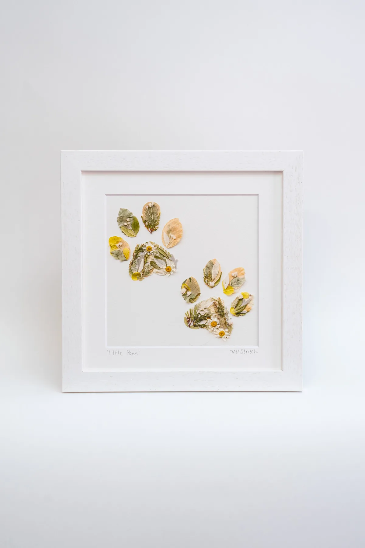 Pressed Flowers by Nell prints, cards and framed pieces