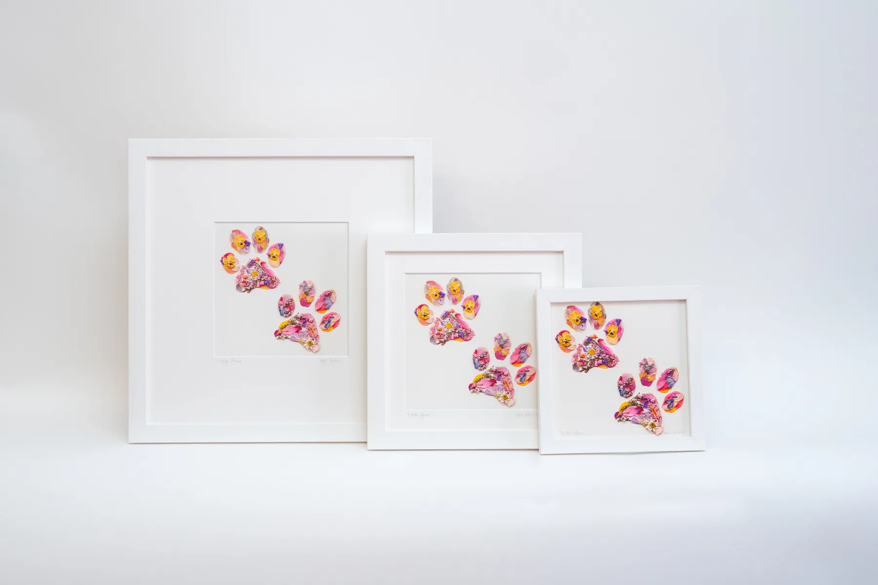 Pressed Flowers by Nell prints, cards and framed pieces