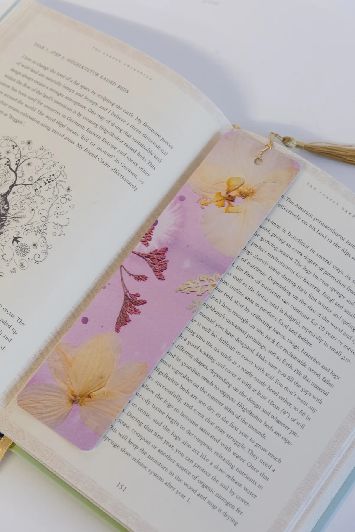 Pressed Flowers by Nell prints, cards and framed pieces