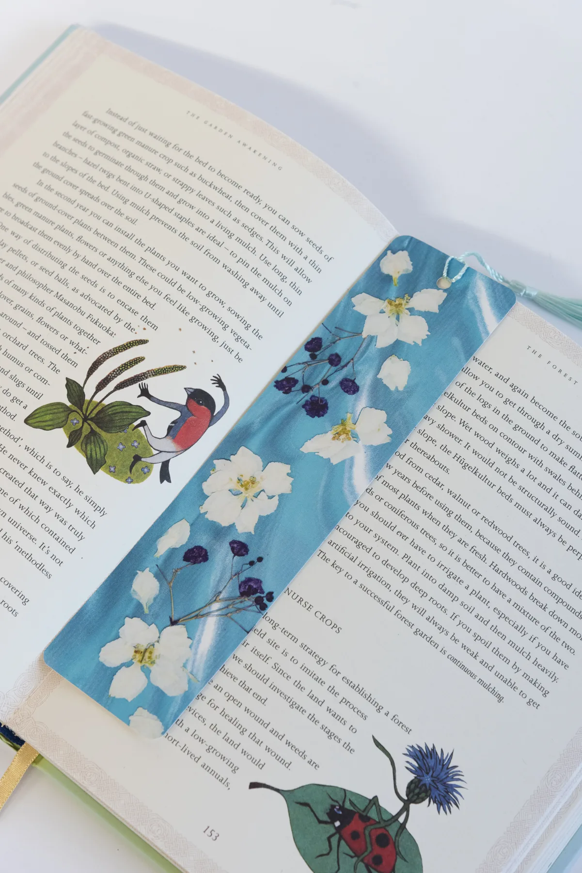 Pressed Flowers by Nell prints, cards and framed pieces