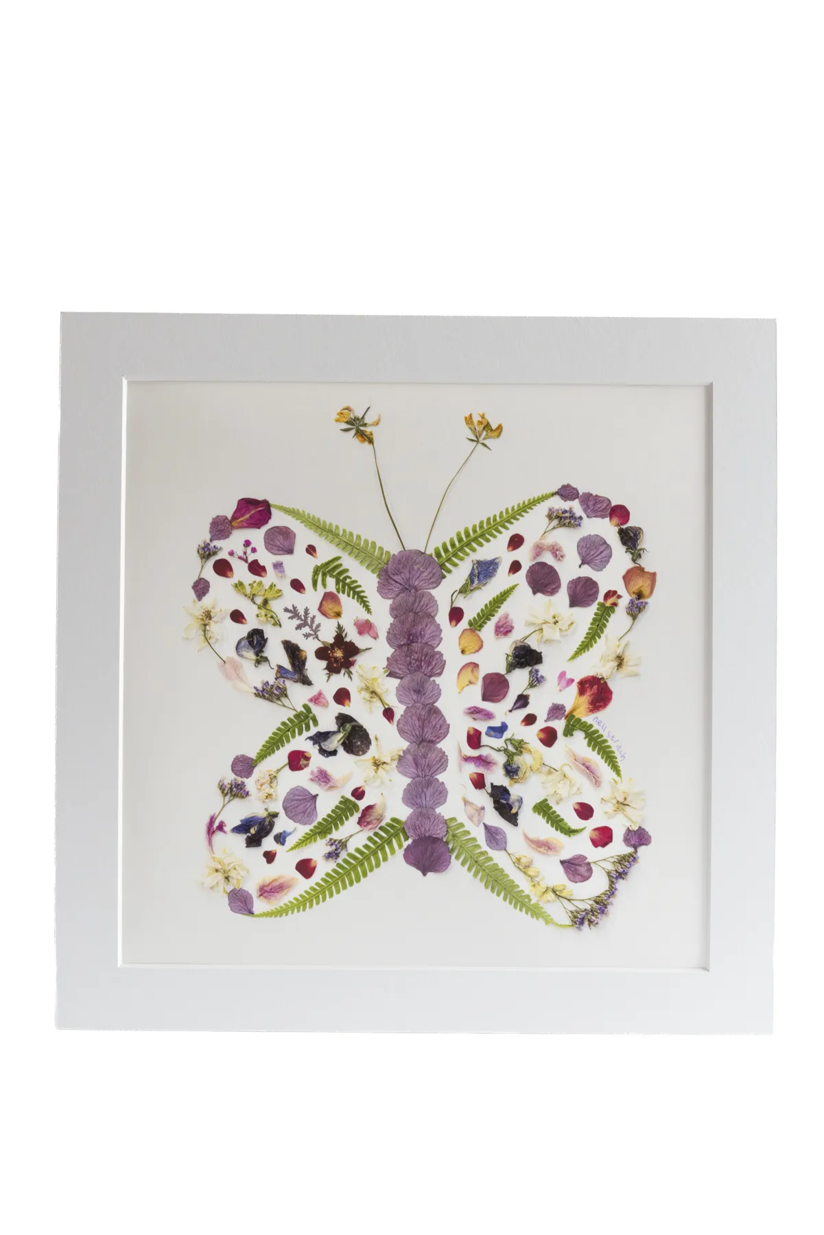 Pressed Flowers by Nell prints, cards and framed pieces
