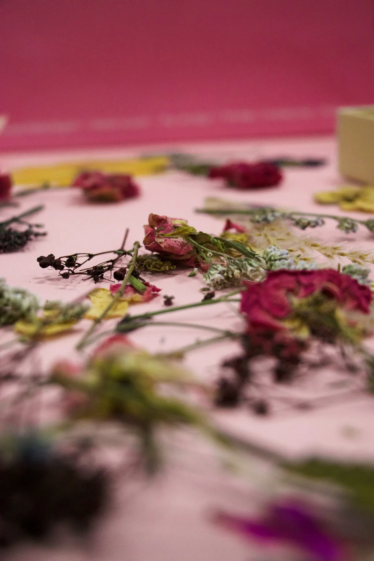 Pop-up at the Crescent Shopping Centre, Limerick