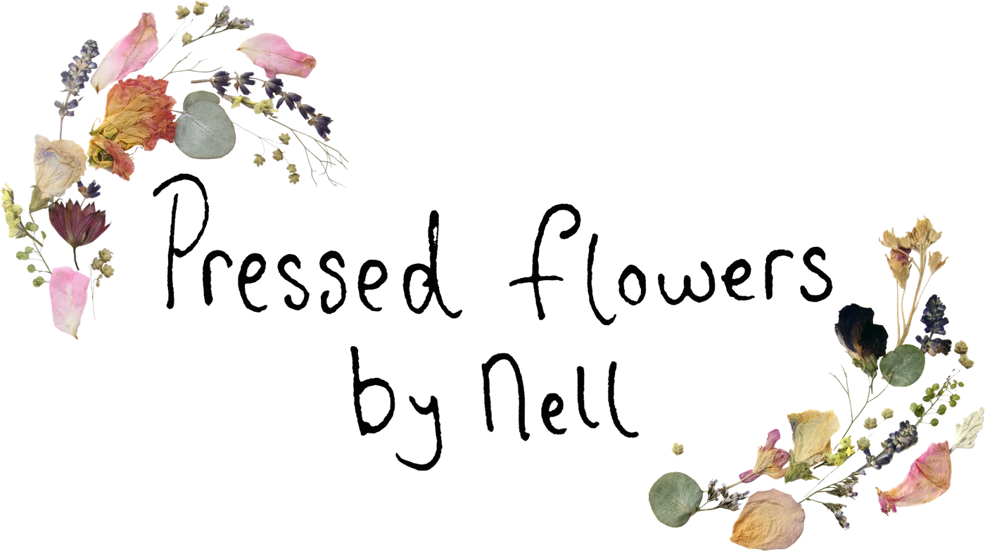 Pressed Flowers by Nell