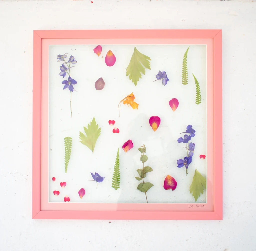 Summer Blooms