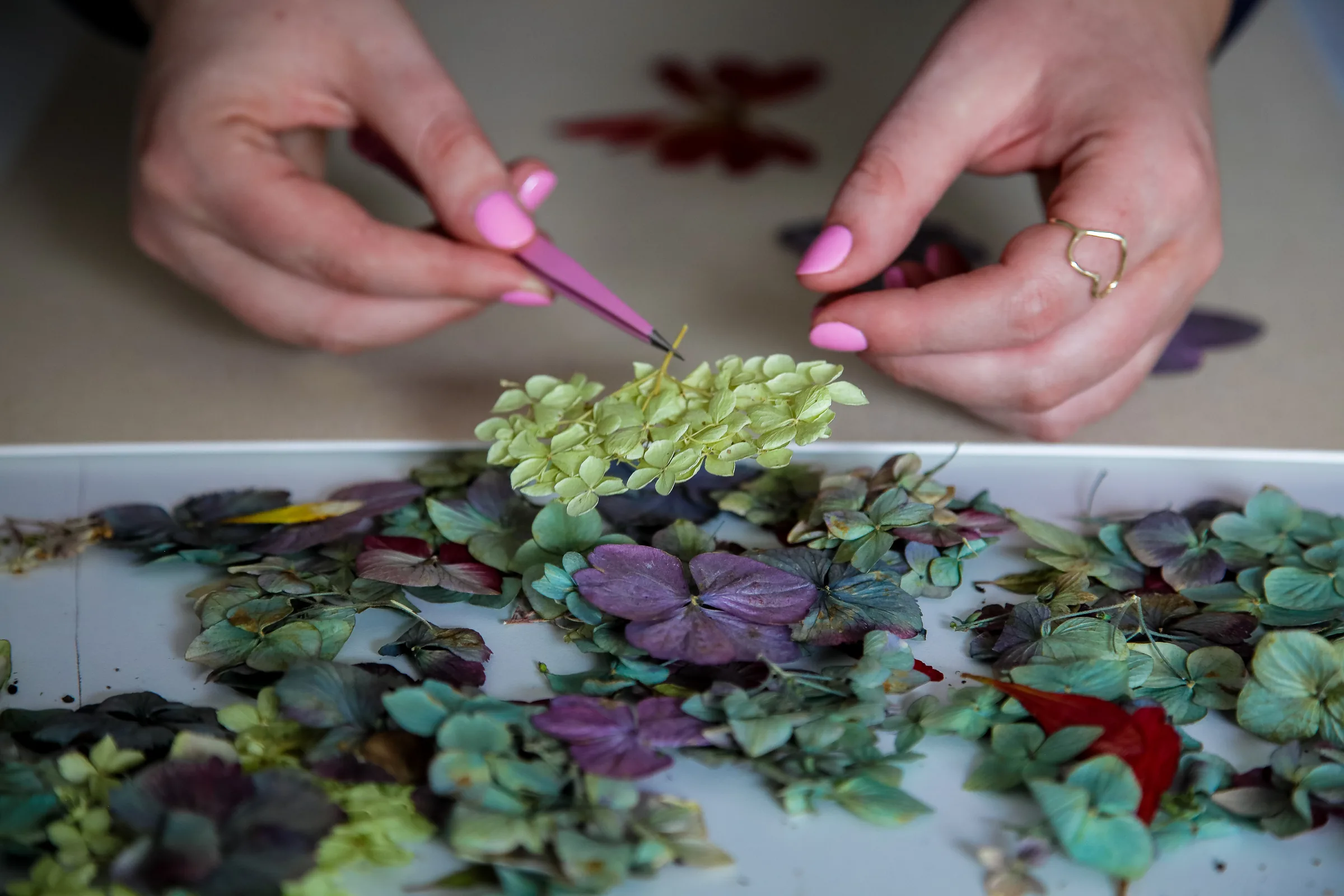 Tweezers placing green hydrangea florets on a pressed flower design