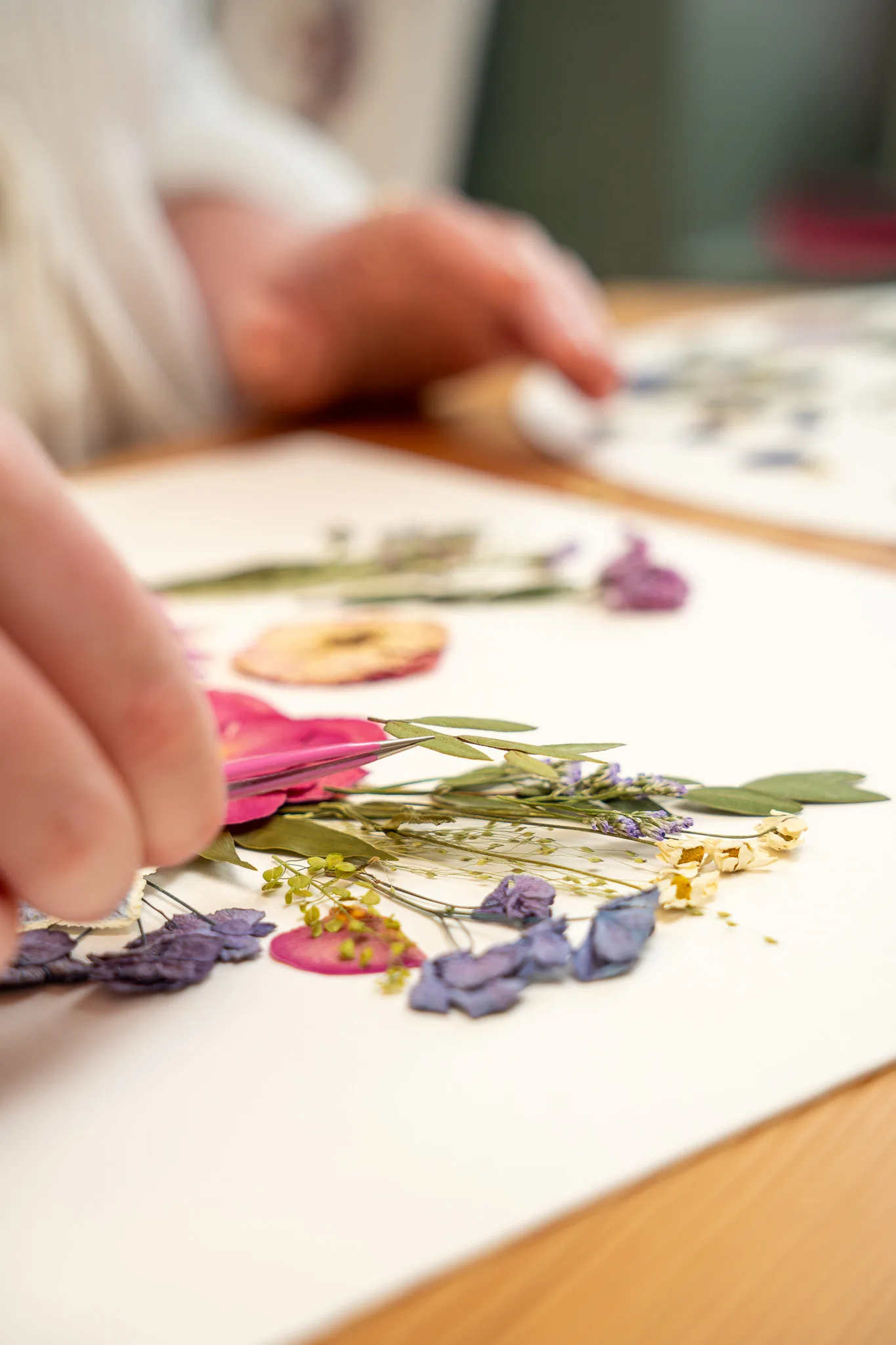 Pressed flowers being arranged on a board