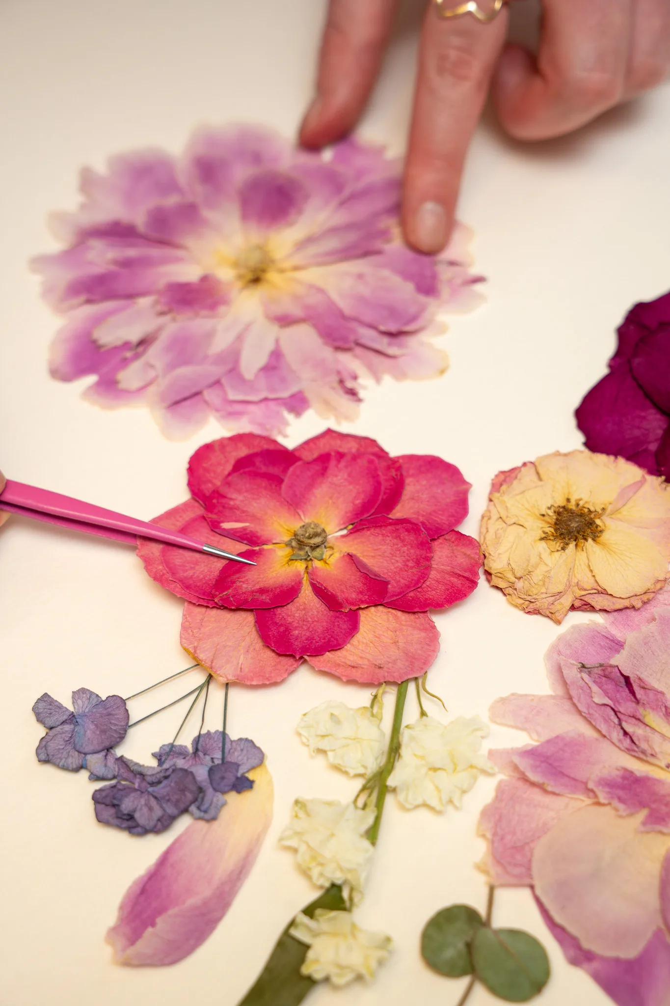 Pink and red pressed flowers being arranged on a design