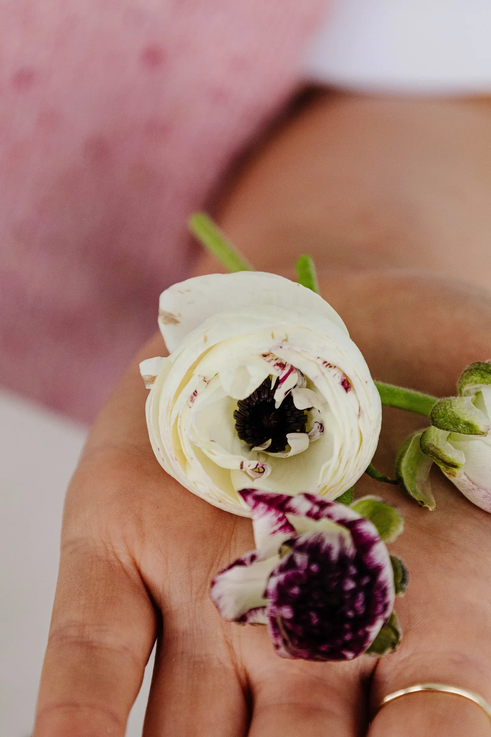 Nell holding a fresh ranunculus flower