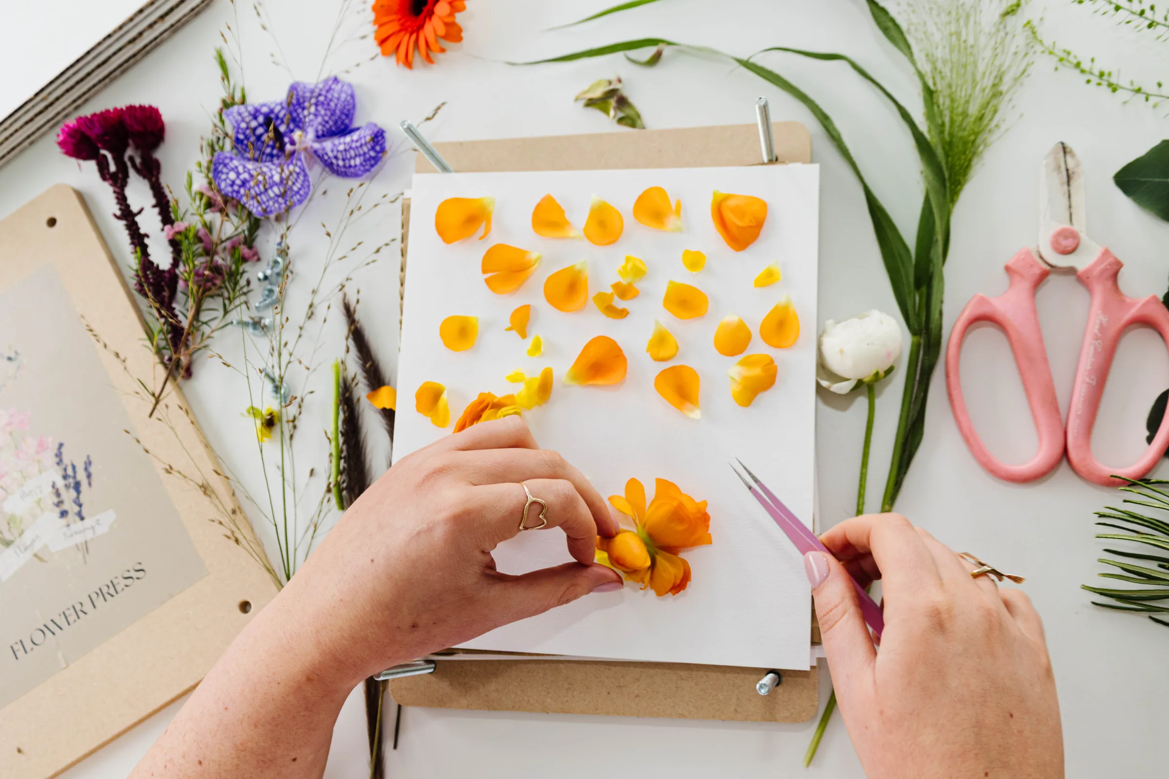 Hands arranging orange petals on a pressed flower design