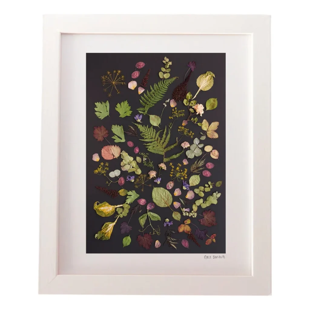 Fondness of Nature, pressed flower art in a white frame