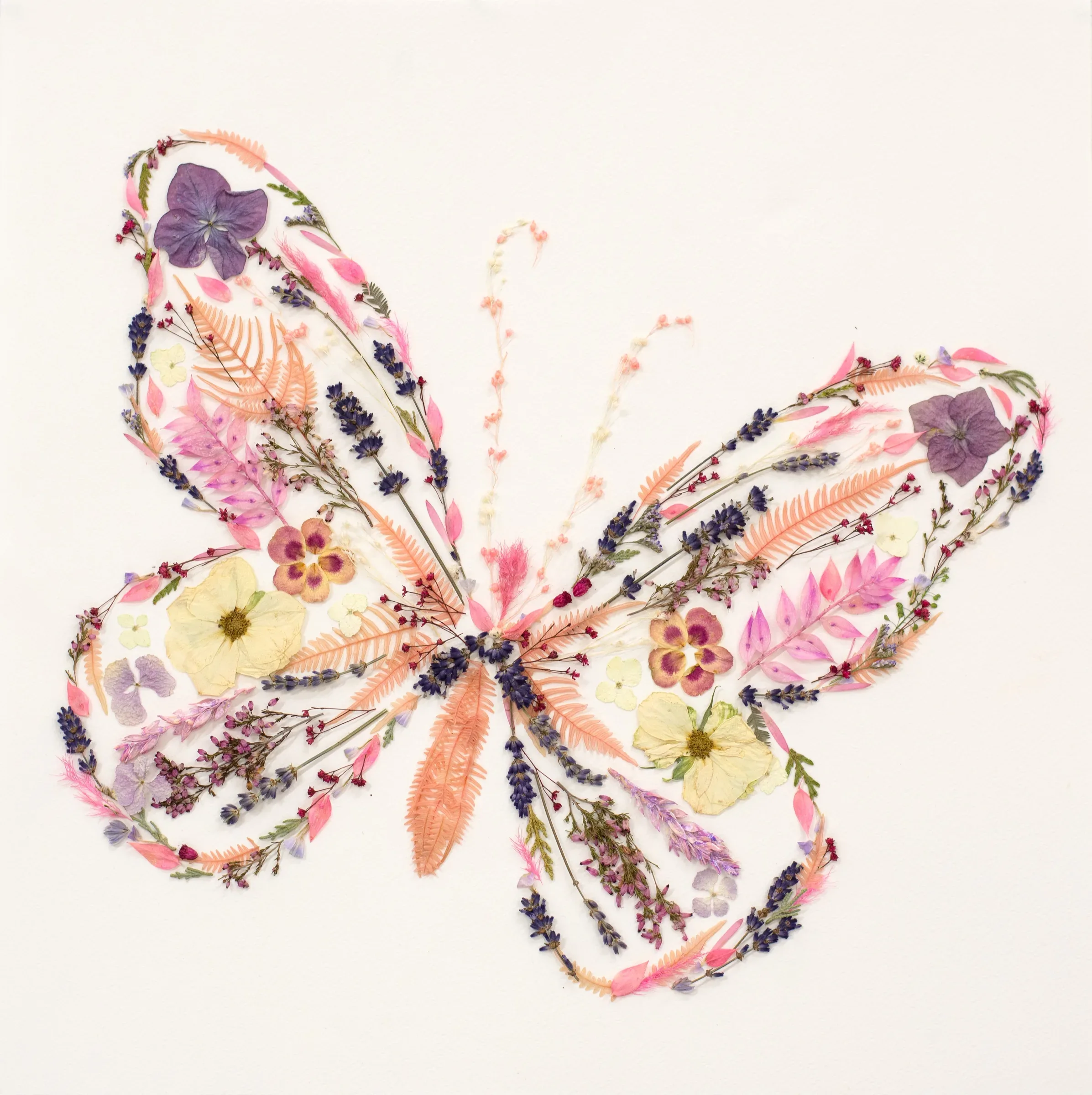 Born To Fly, a pressed flower butterfly