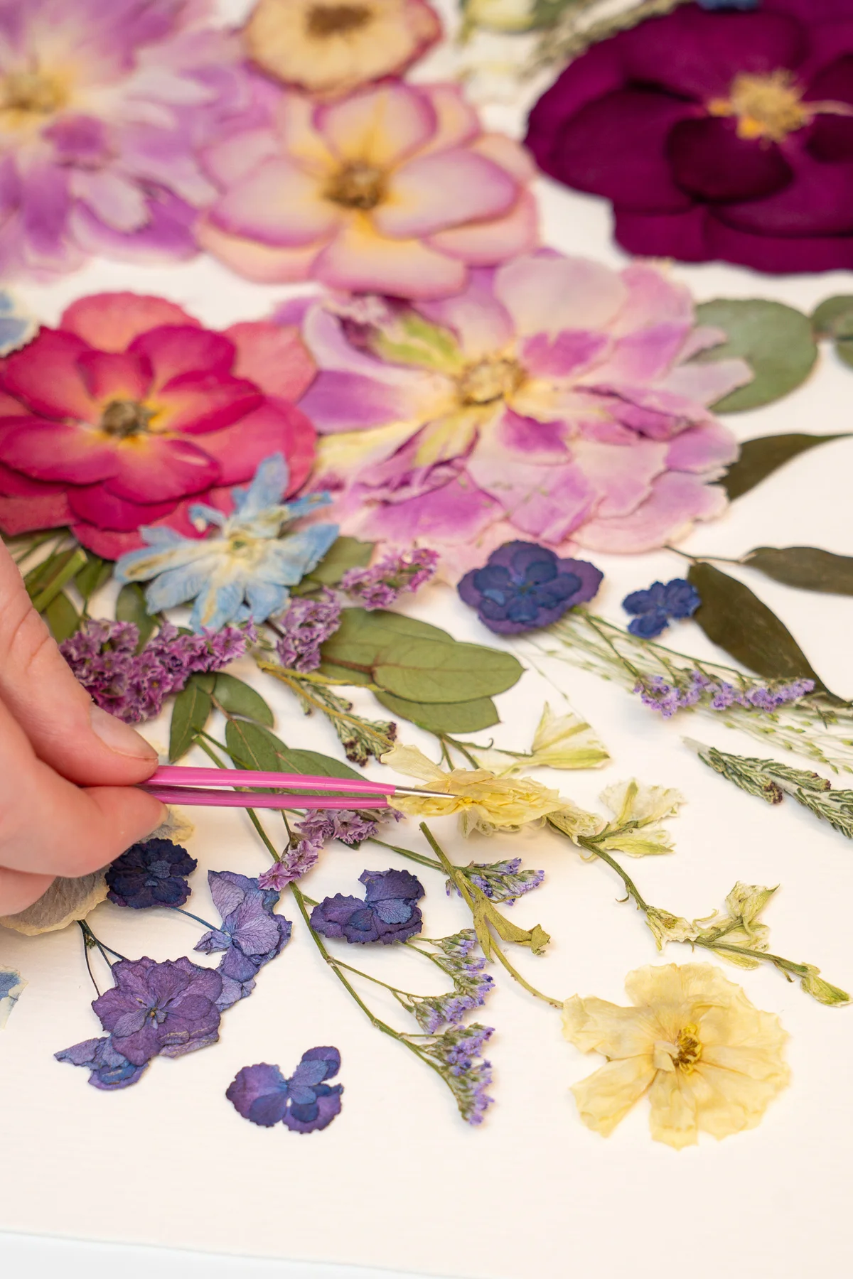 A hand placing pressed petals with pink tweezers on a new artwork