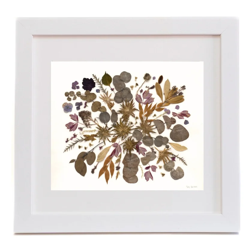 Look Again, pressed flower art in a white frame