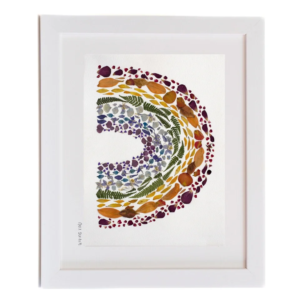 Rainbow, pressed flower art in a white frame