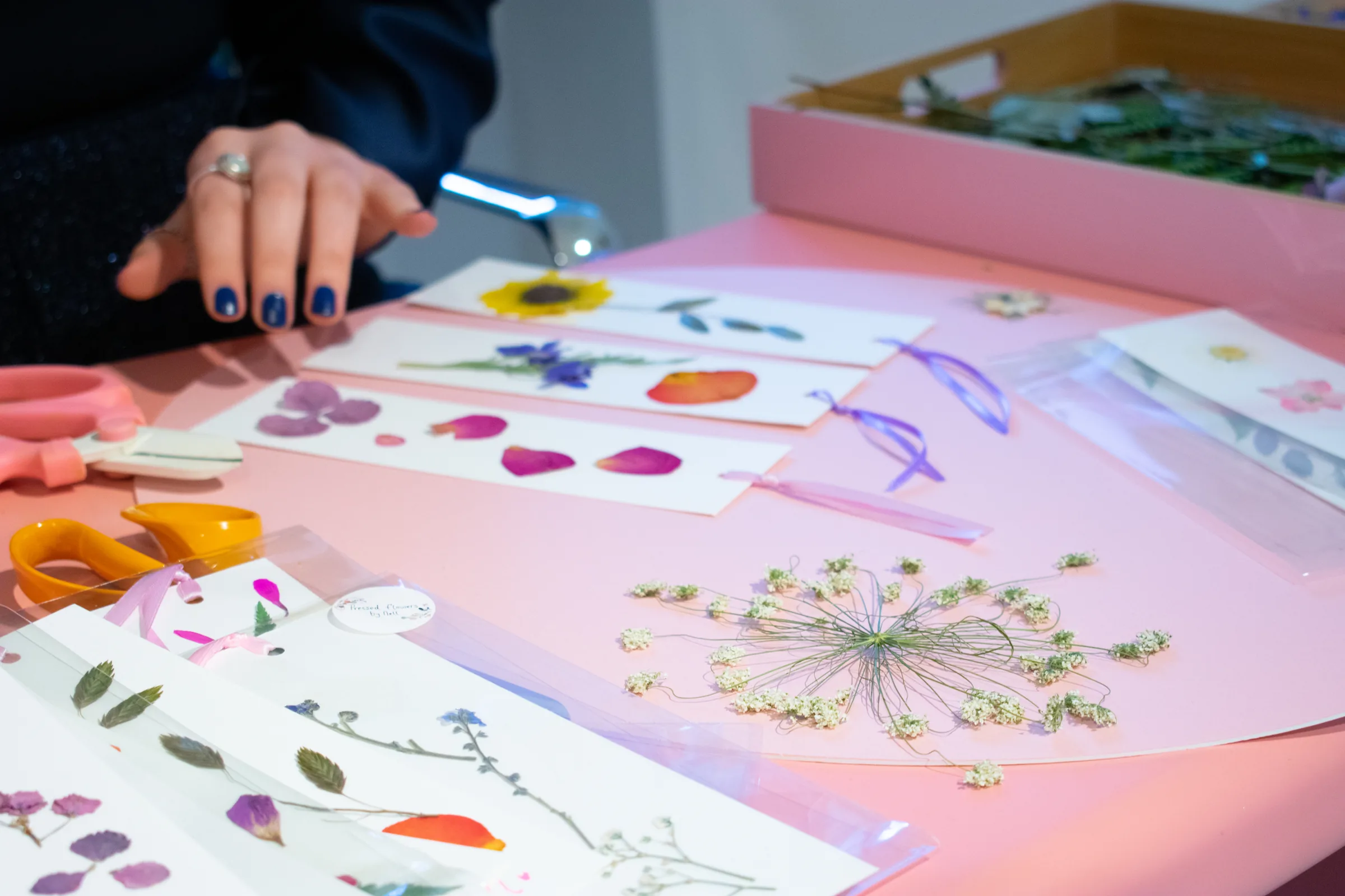 Hands arranging pressed flowers beside a box of pressed blooms on the pink table