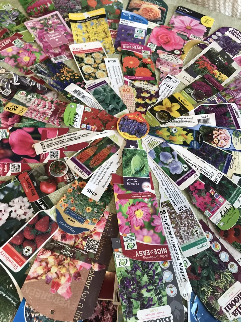 A pile of flower seed packets for Nell’s garden