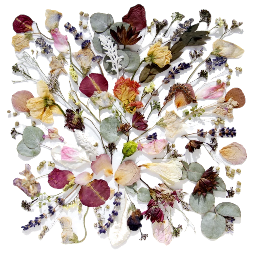 Preview of your pressed bouquet design